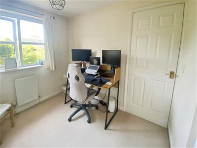 Picture 8